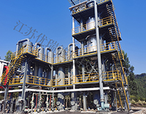 氯、氟廢液、氣焚燒-TO爐